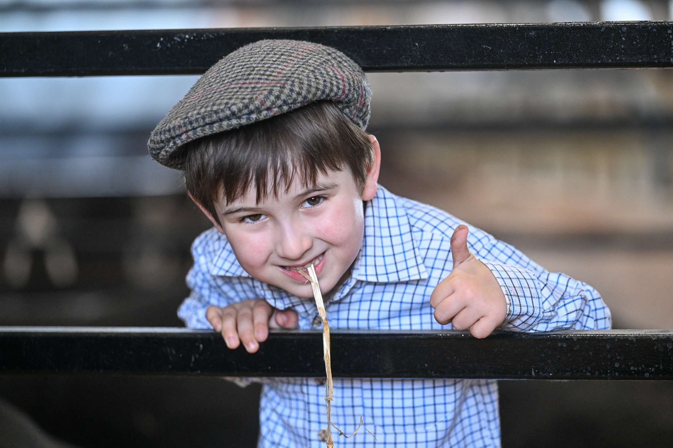 balmoral show 2026