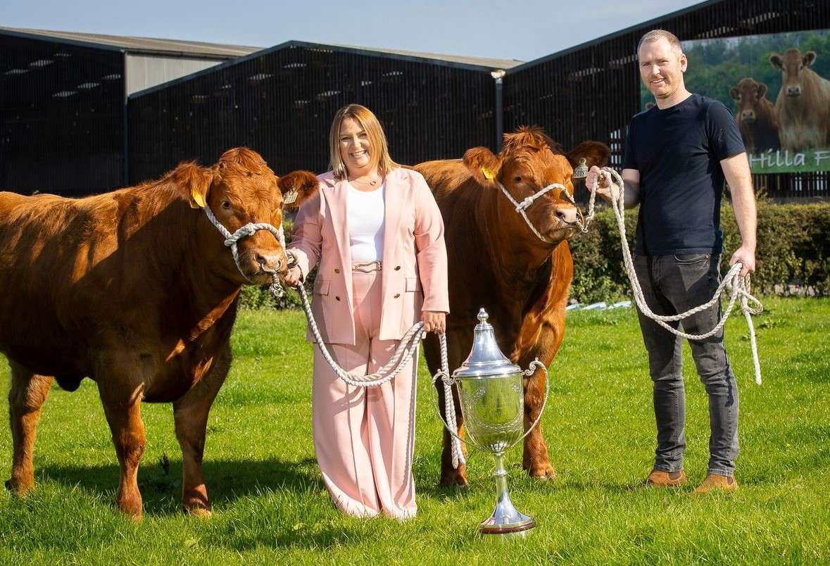 royal ulster beef & lamb championships 2024 entries now open for prestigious event