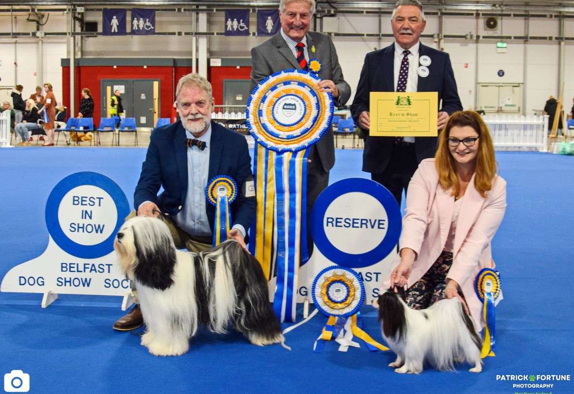 dog-show-10.jpg