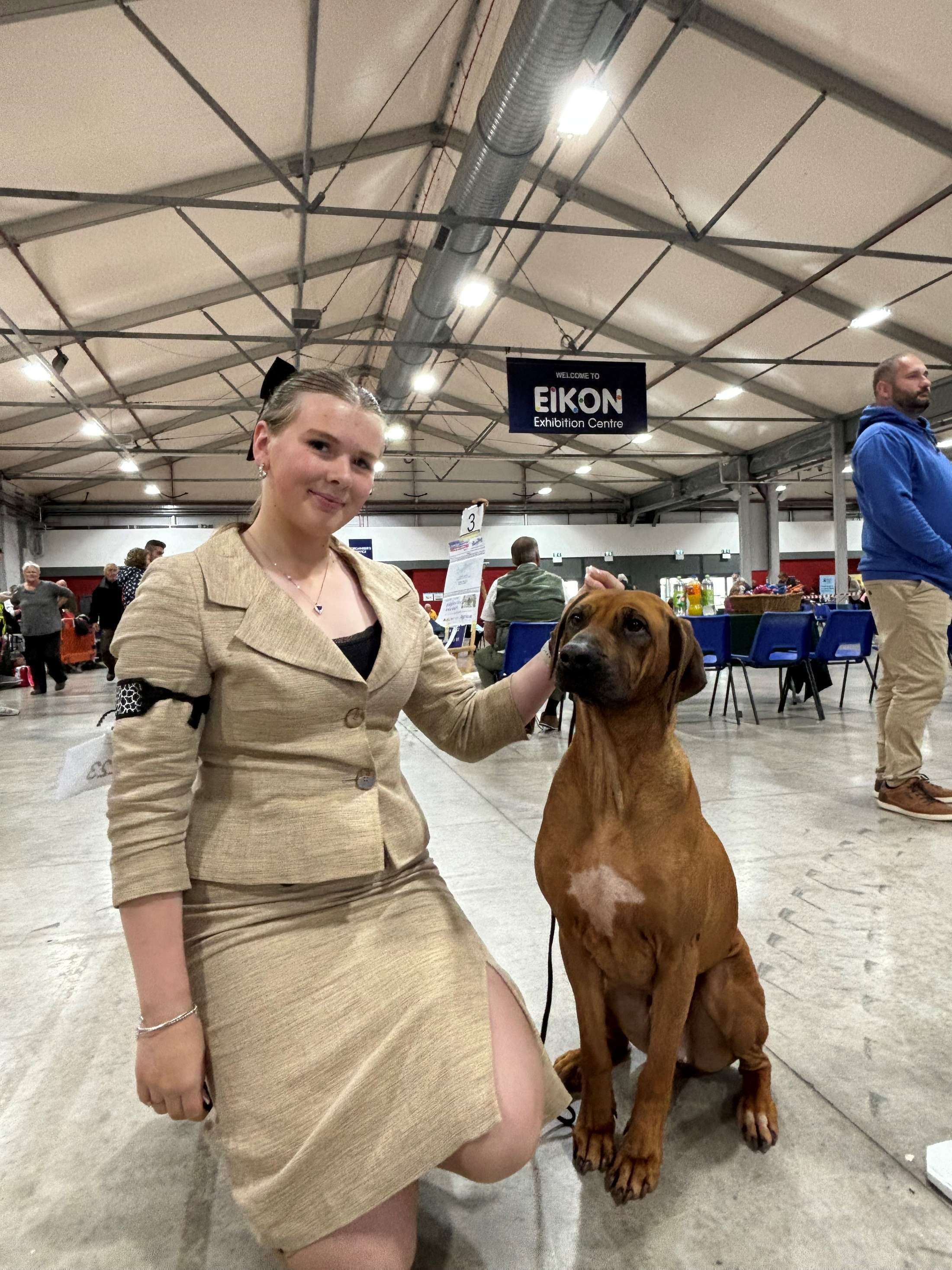 belfast championship dog show 