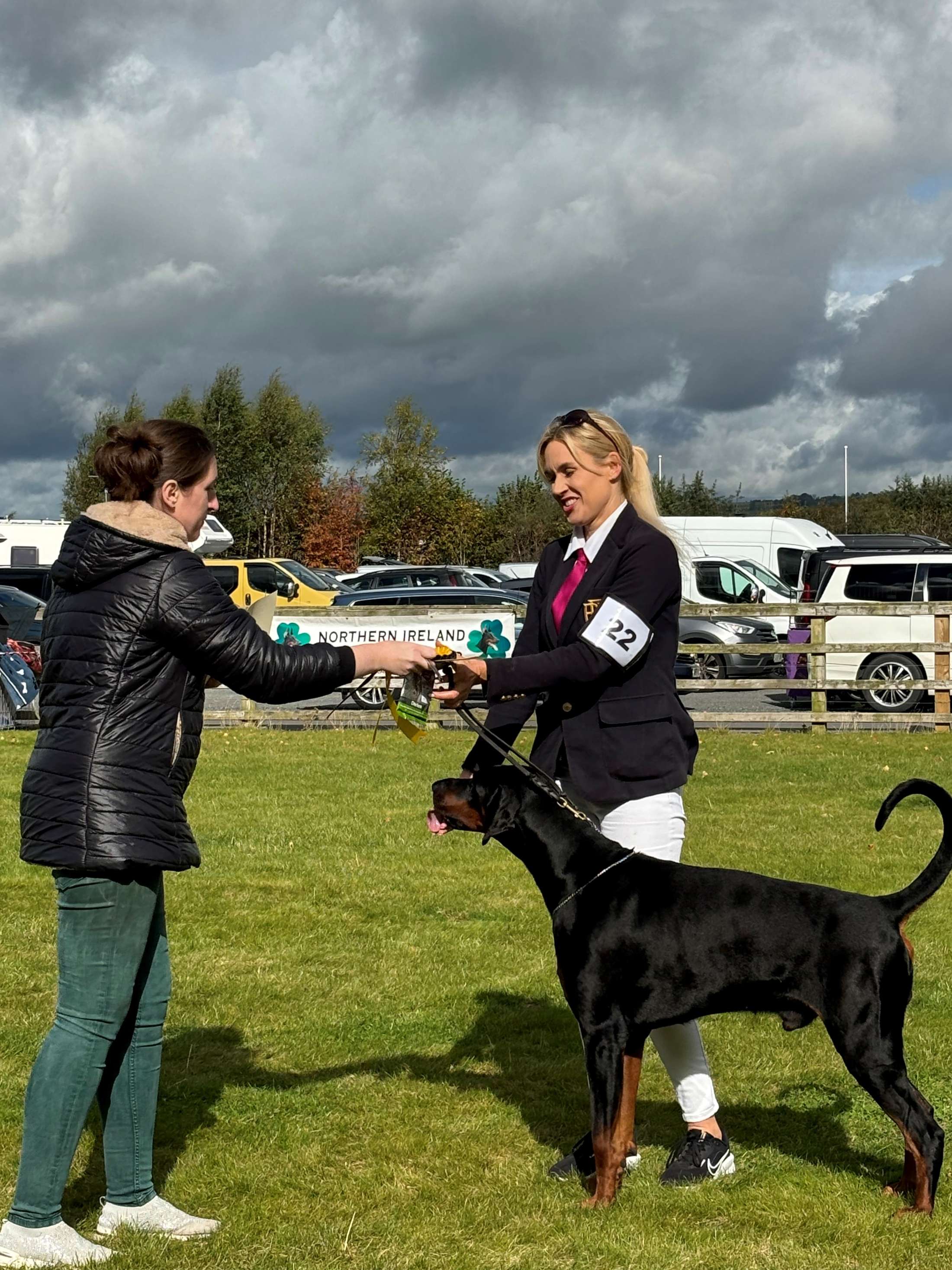 belfast championship dog show 