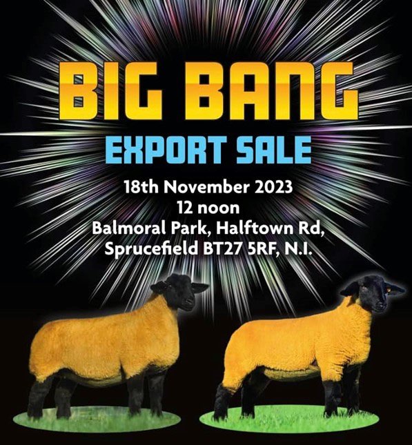 big bang export sale