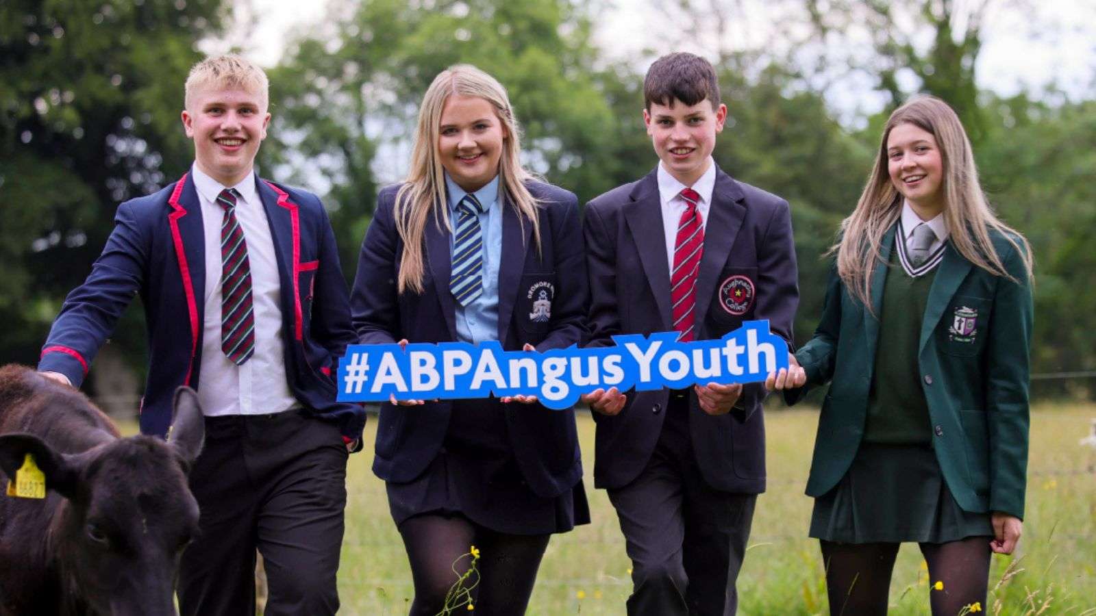 abp angus youth challenge