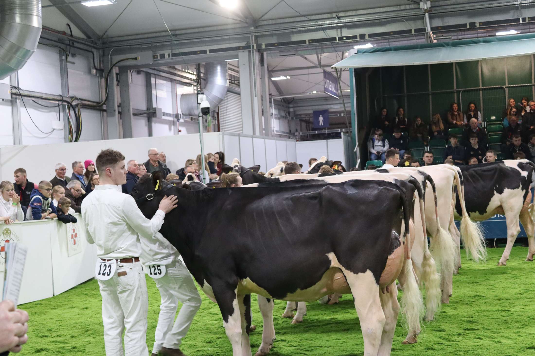 Royal Ulster Winter Fair: A Celebration of Dairy Excellence